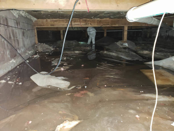 Best Water Damage Insurance Claim Assistance in Clear Lake, WA